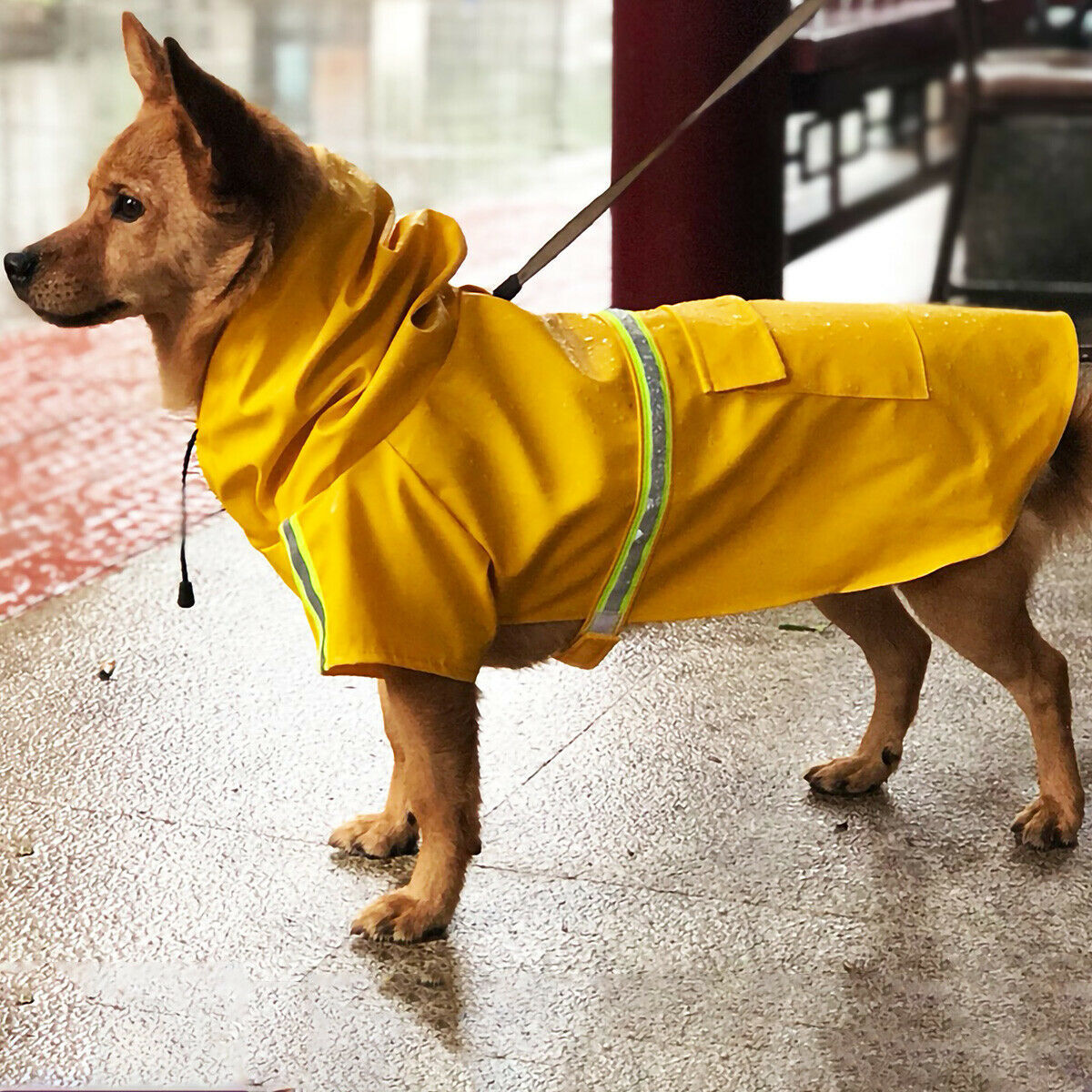 Gelbe Hunde-Regenjacke - WetterFest Pro