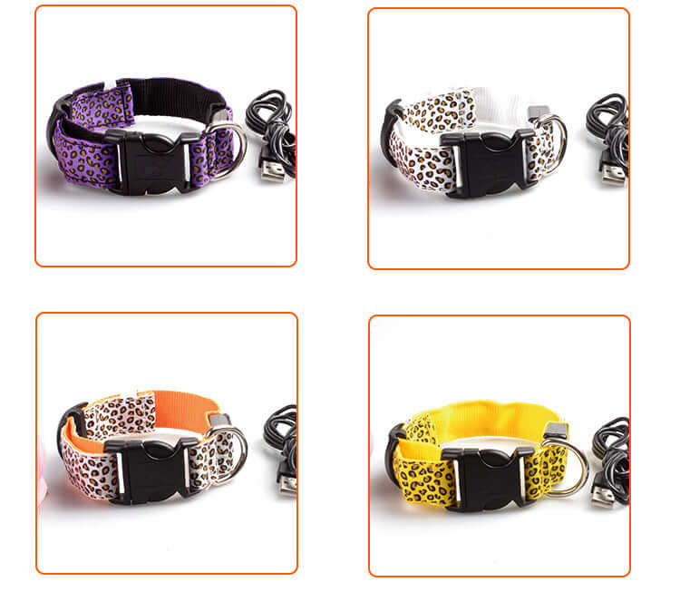 Rechargeable LED Dog Band 