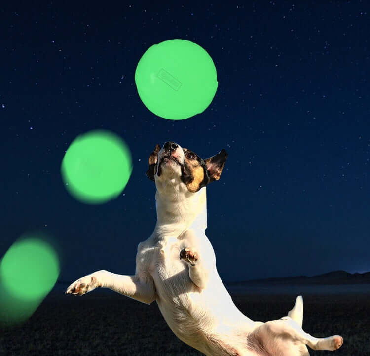 Leuchtender Hundeball von MONTE PETS, ideal für Spiele im Dunkeln mit einem Hund, der nach dem Ball springt.