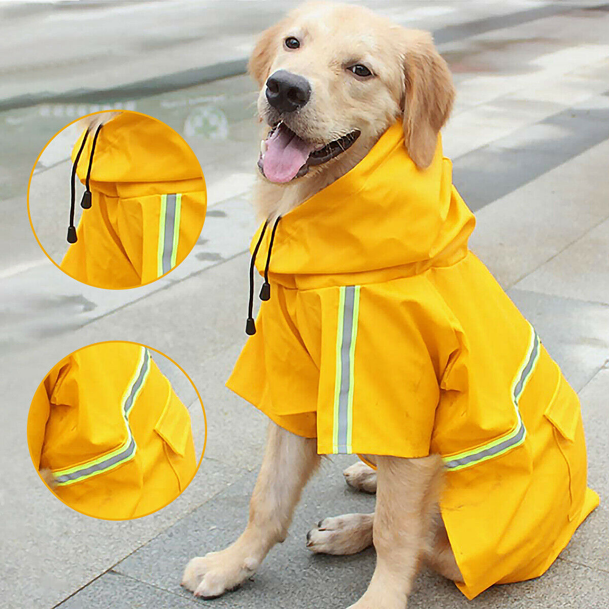 Gelbe Hunde-Regenjacke - WetterFest Pro