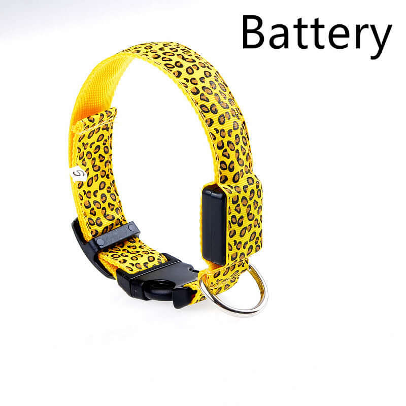 Rechargeable LED Dog Band 