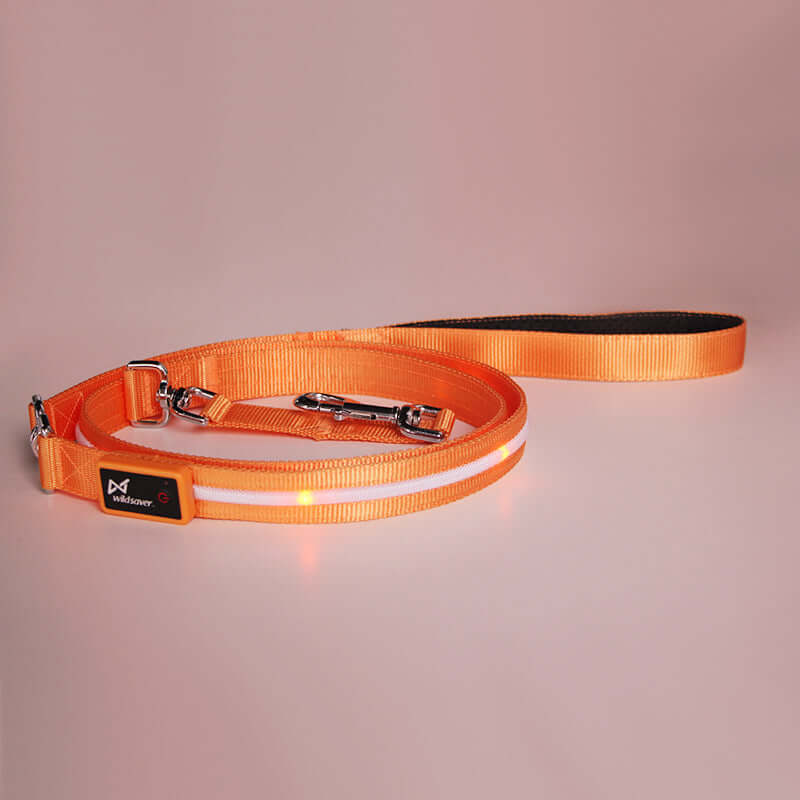 LED Hundeleine USB Aufladbar 120 cm in orange für sichere Nachtspaziergänge