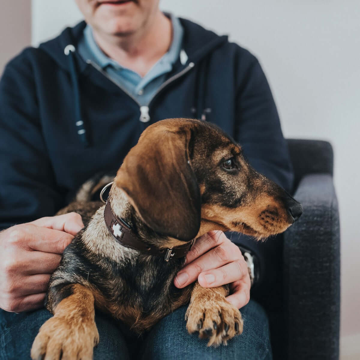 Hundehalsband Hunter Braun Schwarz M 55 cm | MONTE PETS