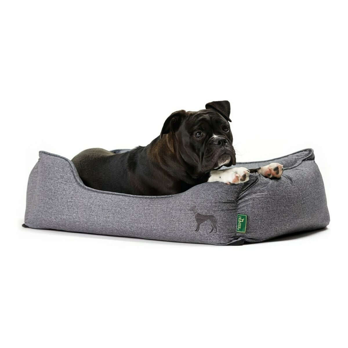 Hundesofa Hunter Boston Grau 60 x 50 cm mit entspanntem Hund in grauem Design