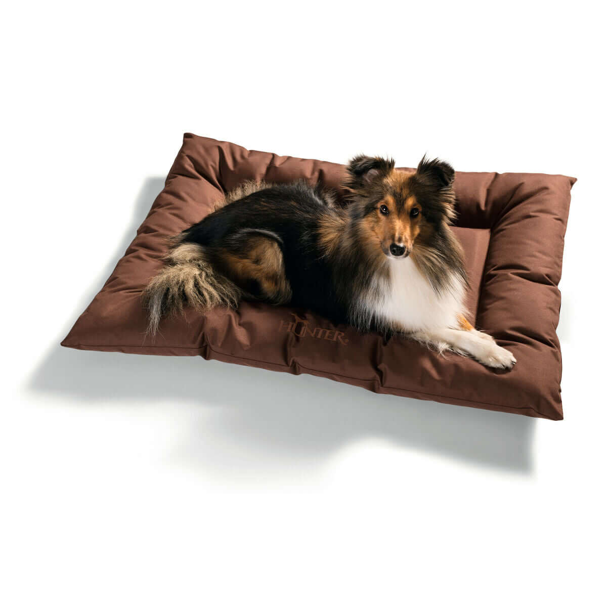 Hunter Gent Hundebett Braun 100 x 70 cm mit Hund auf der komfortablen Liegefläche.