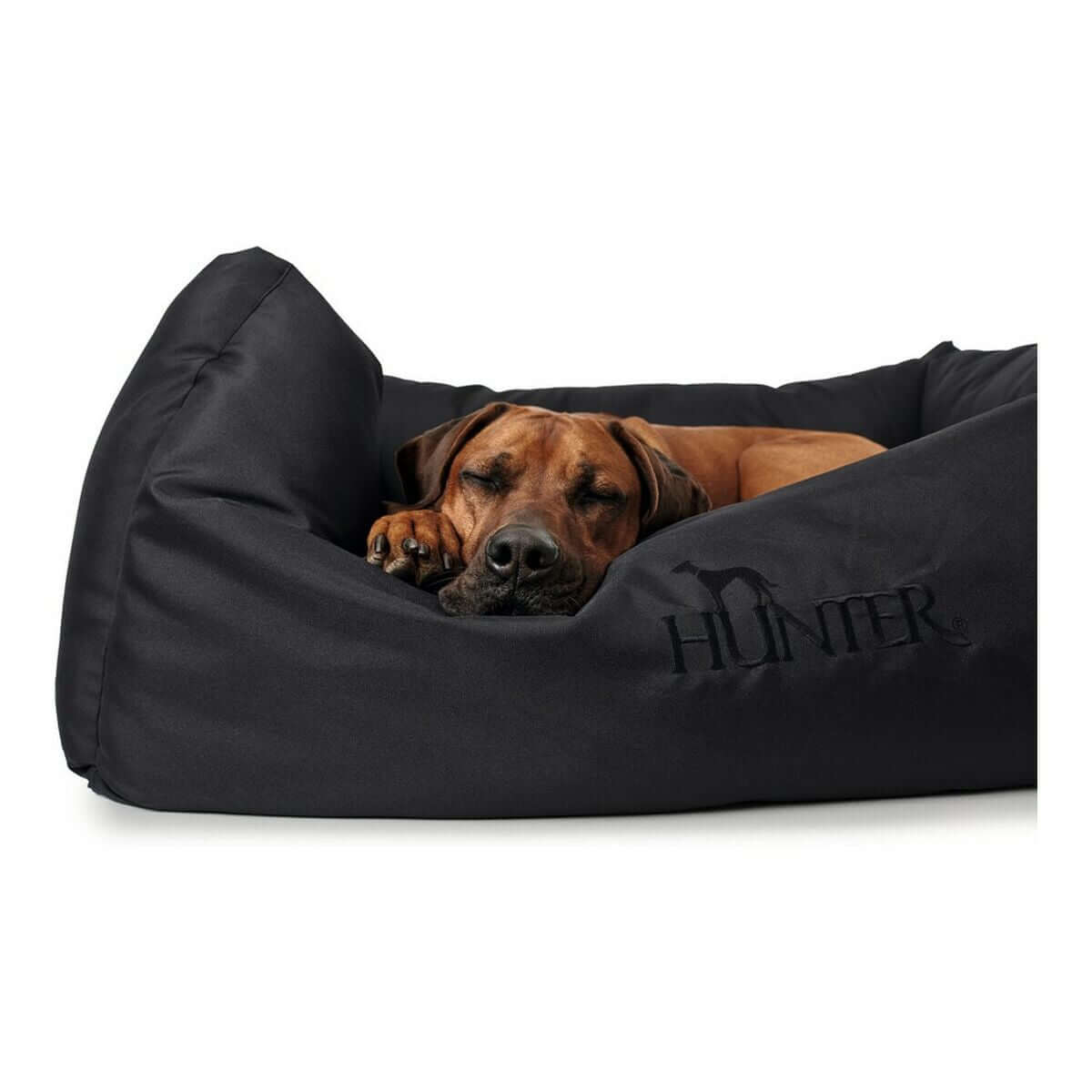 Hundesofa Hunter Gent Schwarz mit kuscheligem Hund, idealer Komfort und modernes Design.