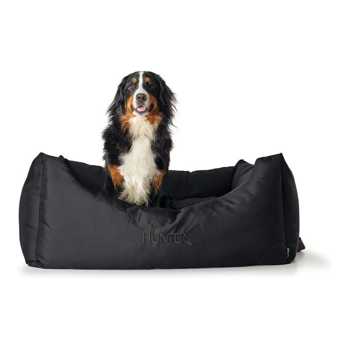 Hundesofa Hunter Gent Schwarz mit einem entspannenden Hund auf dem weichen Kissen, stilvolles Design für deinen Vierbeiner.