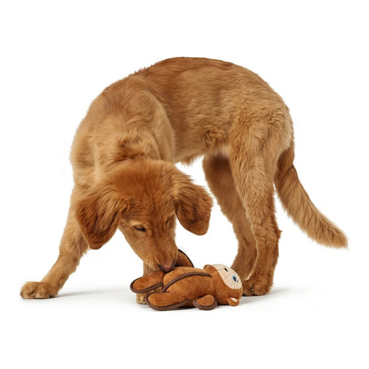 Hundekuscheltier Hunter Togh Toys Braun 25 cm - Hund spielt mit weichem Affen-Spielzeug aus Polyester.