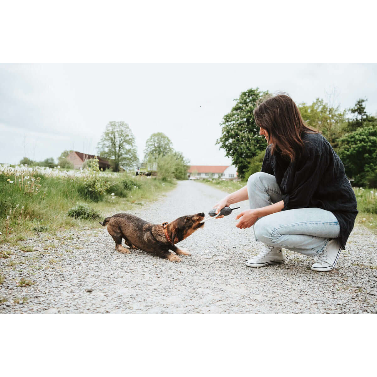 Hund und Frau spielen mit Hundespielzeug Hunter Kuh auf einem Kiesweg im Freien.