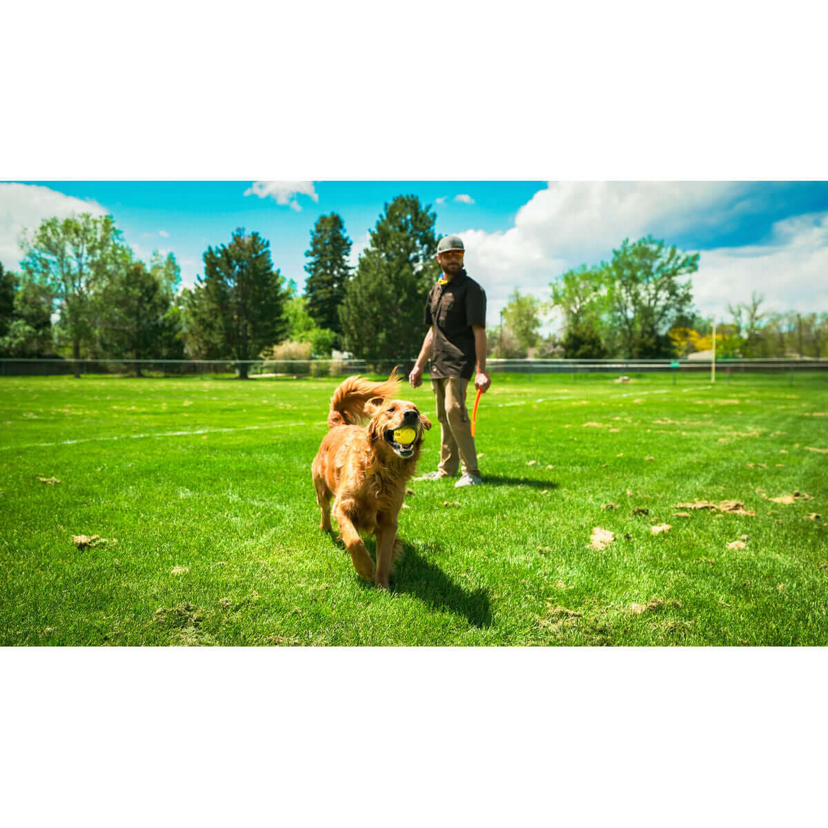 Ballwurfmaschine – Hund mit Spielzeug auf Wiese, aktiv und glücklich, Spiel und Bewegung mit Hunter Gelb Orange.