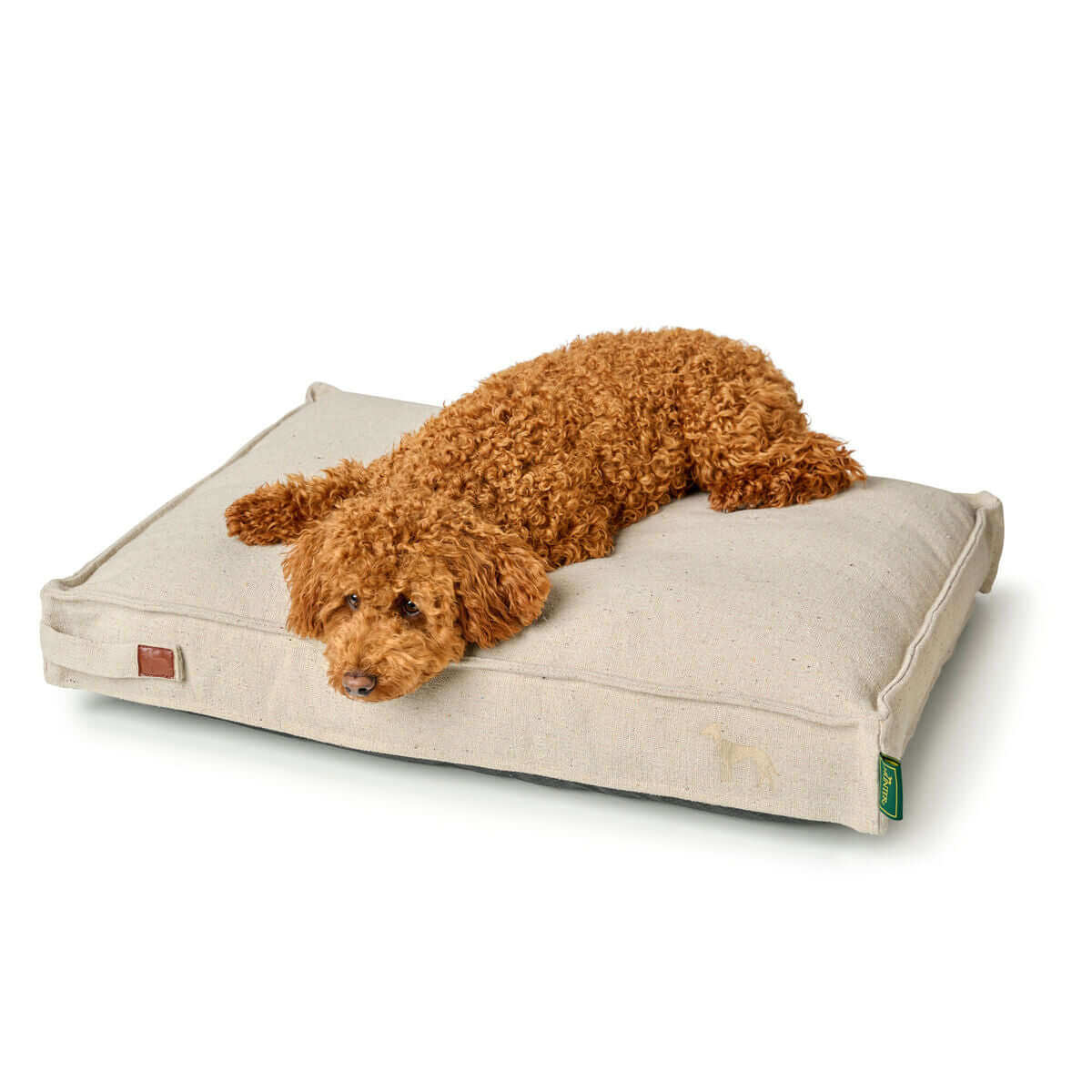 Hunter Belluno Hundekissen Beige 100 × 70 cm mit Hund auf dem weichen Kissen