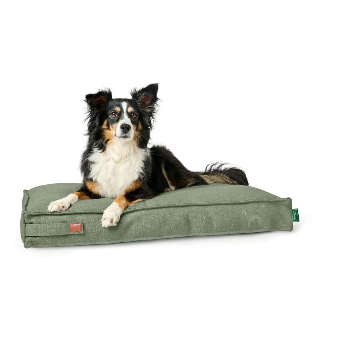 Hunter Belluno Hundekissen Grün 100 × 70 cm mit einem Hund, der darauf liegt, bietet Komfort und modernes Design.