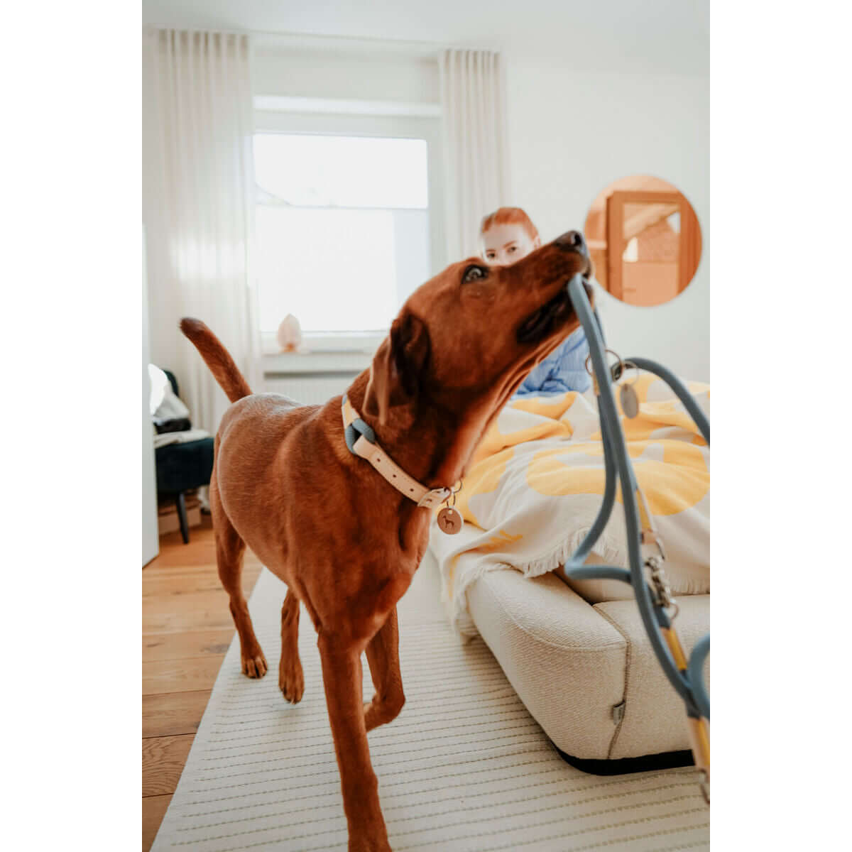 Hunter – Hundeleine Blau 1 x 200 cm | MONTE PETS