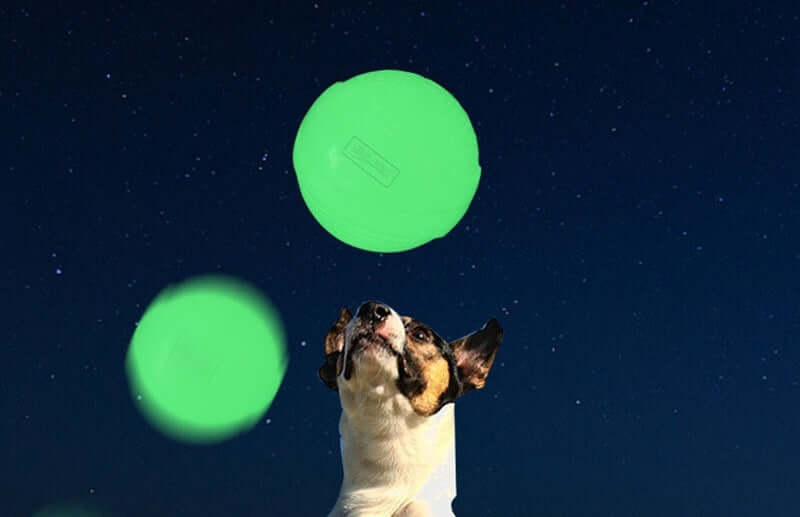 Leuchtender Hundeball spielt im Dunkeln mit einem Hund unter dem Sternenhimmel.