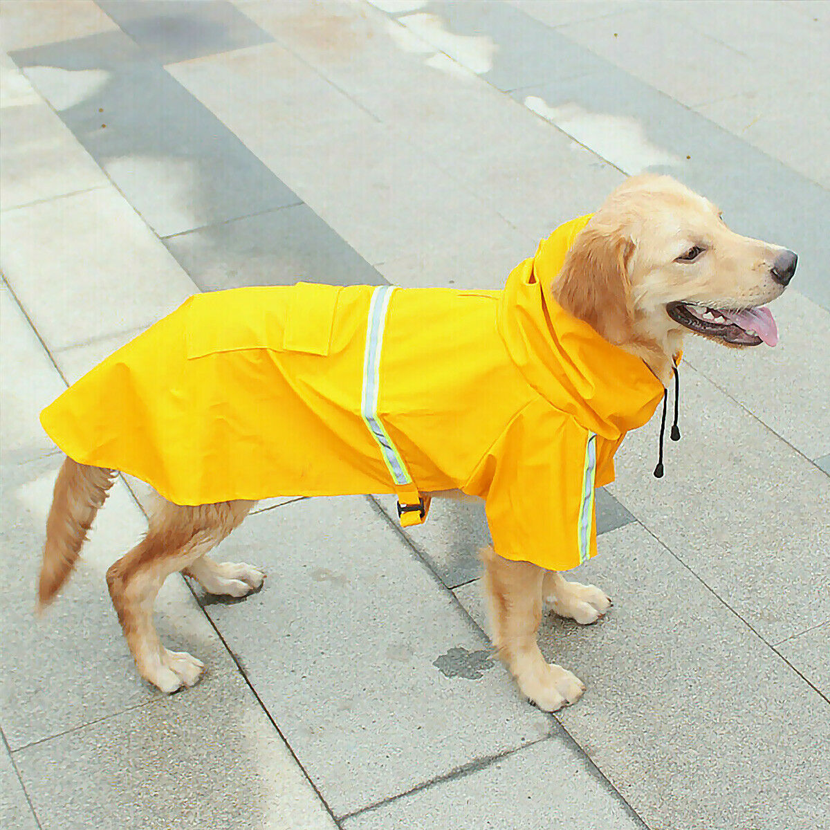 Gelbe Hunde-Regenjacke - WetterFest Pro