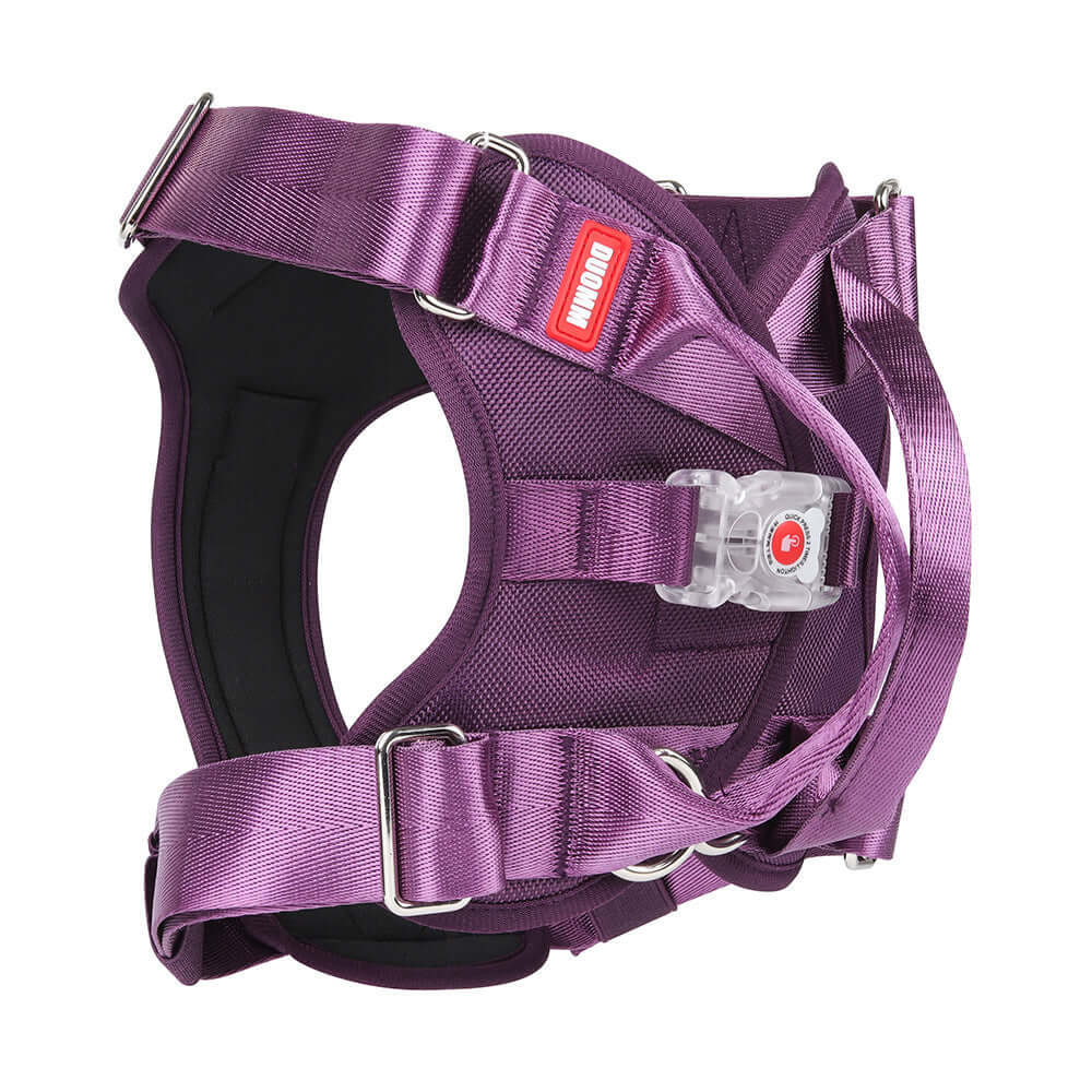 LED Luminous Chest Strap Explosion Proof 