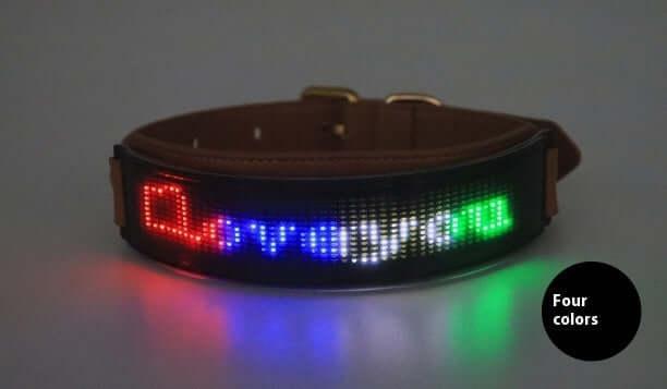 LED Halsband Display mit buntem LED-Lichtsystem für bessere Sichtbarkeit des Hundes, erhältlich in vier Farben.