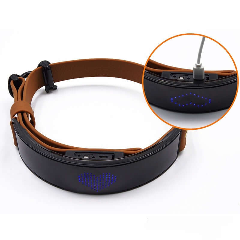 LED Halsband Display für Hunde mit integriertem LED-Lichtsystem und USB-Ladeanschluss.