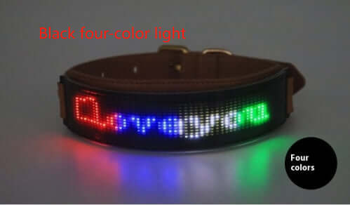 LED Halsband Display in Schwarz mit vierfarbigem Licht für Hunde