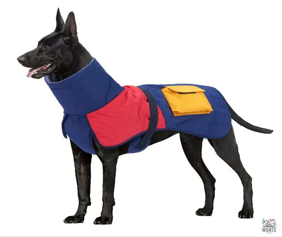 Arctic Explorer | Warmer Hunde-Wintermantel