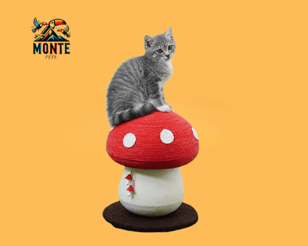 Kratzbaum Zauberpilz Katze mit einer grauen Katze, die auf dem roten Fliegenpilz sitzt, MONTE PETS.