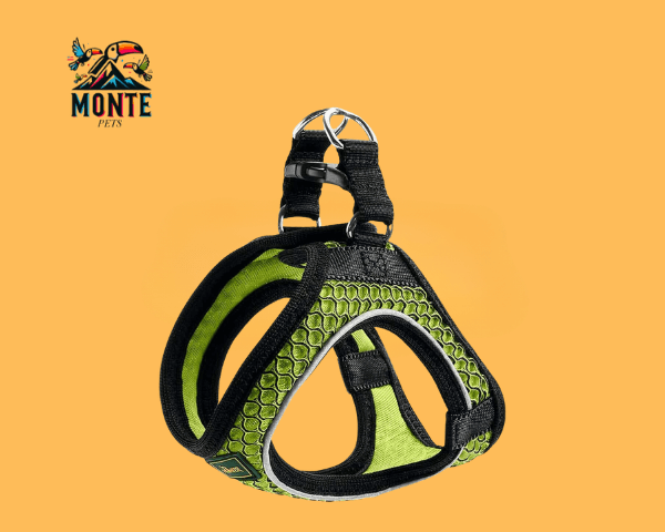 Hundegeschirr Hunter Hilo-Comfort Neongrün XS von MONTE PETS auf orangenem Hintergrund.