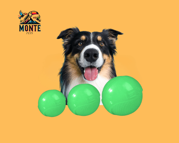 Leuchtender Hundeball für kleine bis mittelgroße Hunde in verschiedenen Größen mit fröhlichem Hund.