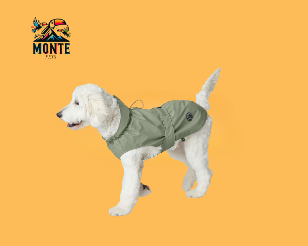 Hundemantel Hunter Milford grün an einem Hund, der auf einem orangefarbenen Hintergrund steht.