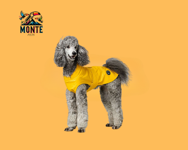 Hundemantel Hunter Milford Gelb auf einem grauen Pudel vor orangefarbenem Hintergrund, MONTE PETS Logo.