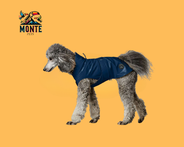 Hundemantel Hunter Milford Blau 50 cm an einem Hund im Profil auf gelbem Hintergrund von MONTE PETS.