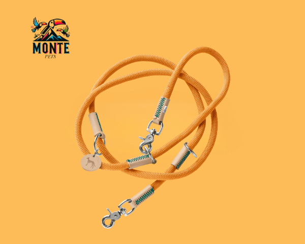 Hundeleine Hunter MALIA Orange 1 x 200 cm | MONTE PETS 