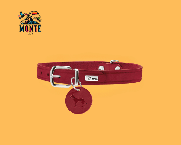 Hunter Aalborg Hundehalsband Rot XS/S 28-33 cm | MONTE PETS