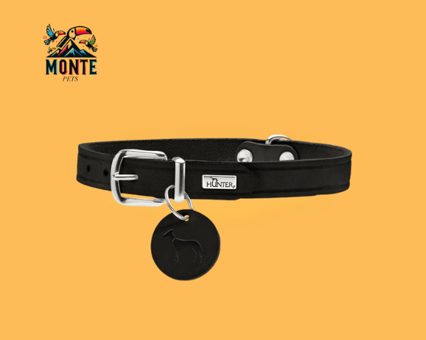 Hunter – Hundehalsband Schwarz XS/S 28-33 cm | MONTE PETS