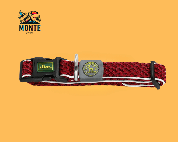 Hundehalsband Hunter Basic Rot M 33-50 cm | MONTE PETS