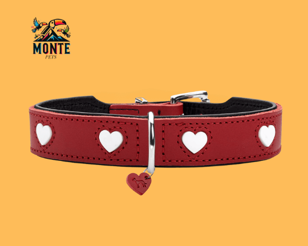 Hundehalsband Hunter Love in Rot mit weißen Herzen, ideal für mittlere Hunde, von MONTE PETS.