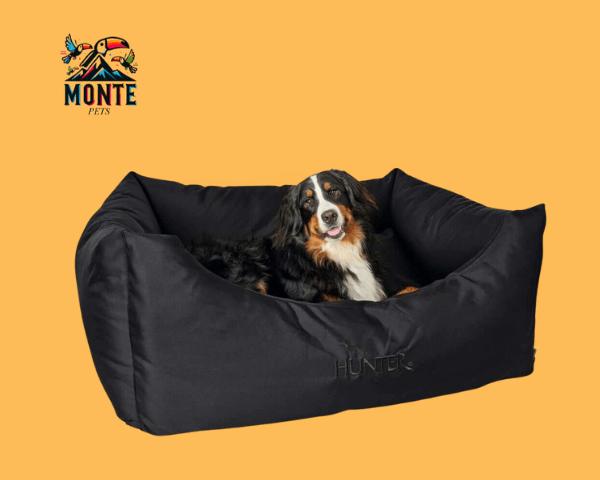 Hundesofa Hunter Gent Schwarz mit Hund in zeitlosem Design, idealer Komfort für Haustiere.