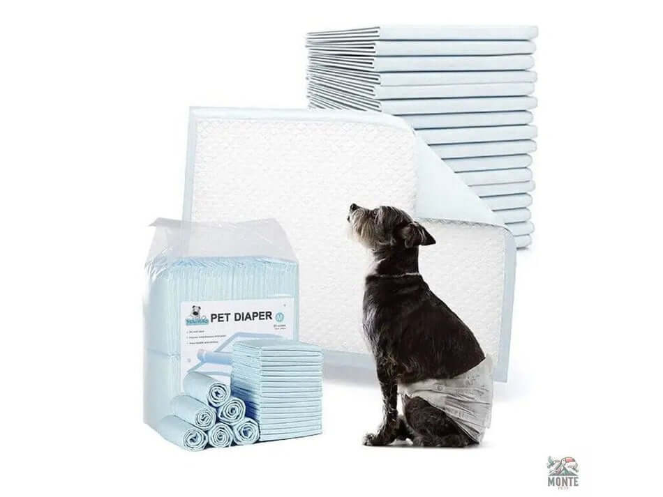 Dry & Clean – Saugstarke Welpenunterlagen für Stubenreinheit | MONTE PETS