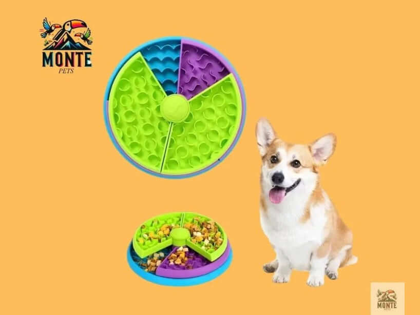 Think & Snack – Intelligenter Fressnapf für Hunde | MONTE PETS