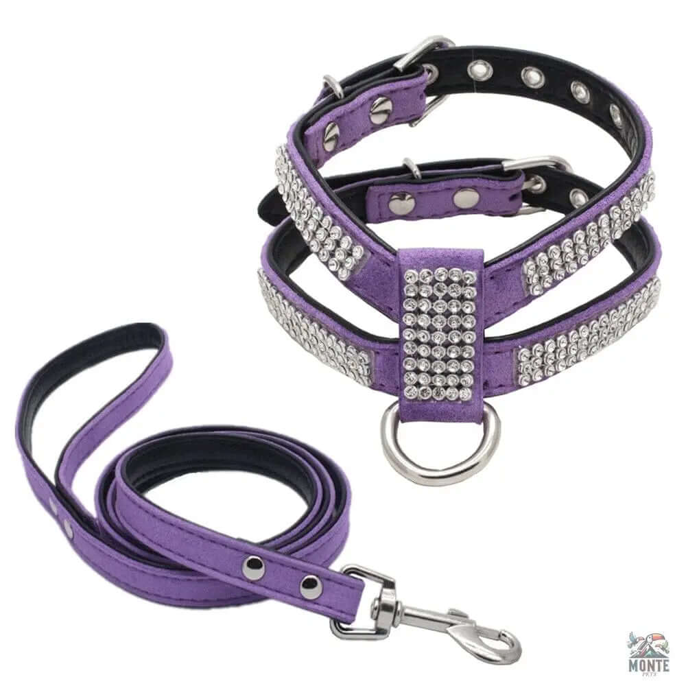 Glamour-Hundegeschirr – Hundesicherheit Schwarz Größe M | MONTE PETS