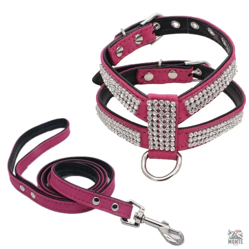 Glamour-Hundegeschirr – Hundesicherheit Schwarz Größe M | MONTE PETS