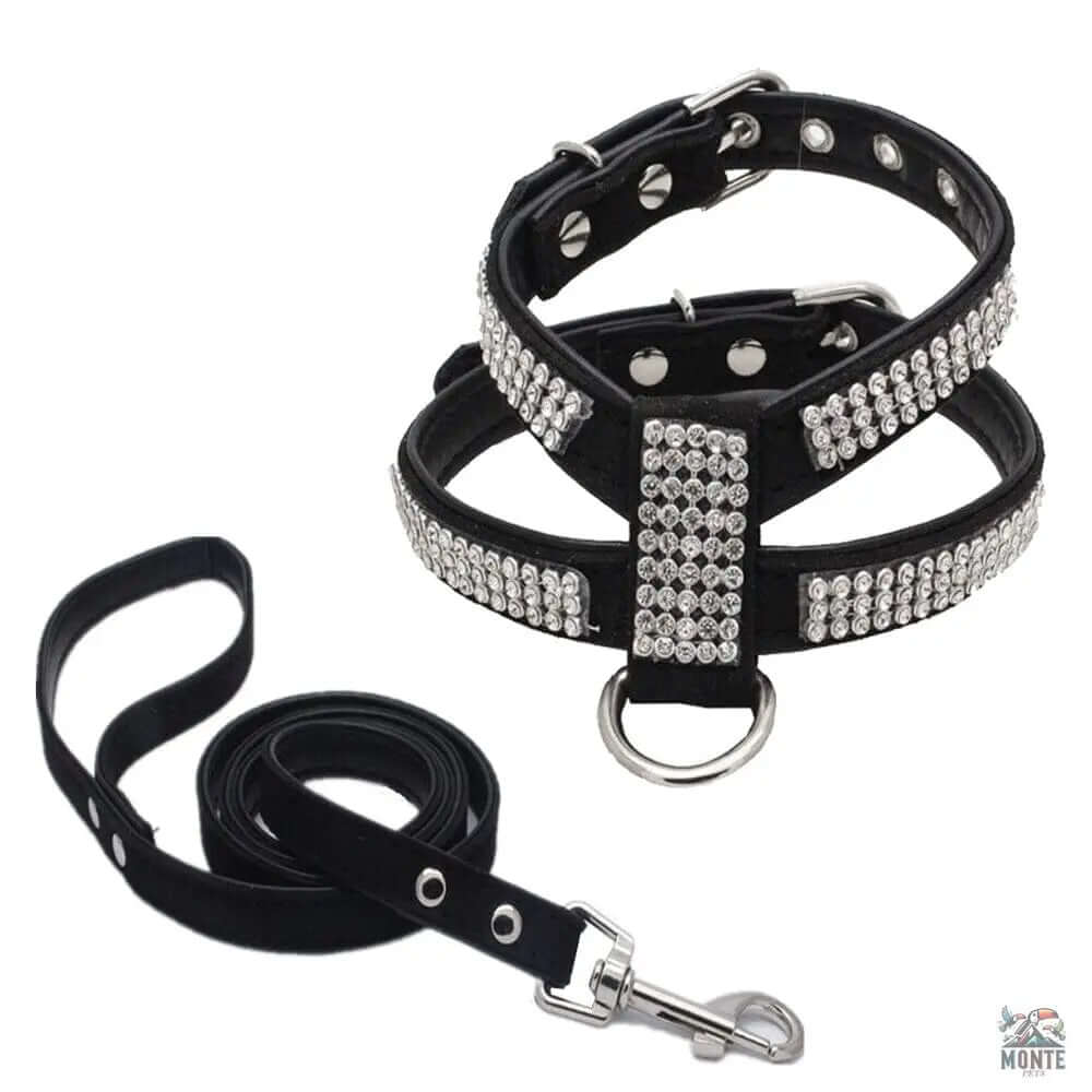 Glamour-Hundegeschirr – Hundesicherheit Schwarz Größe M | MONTE PETS