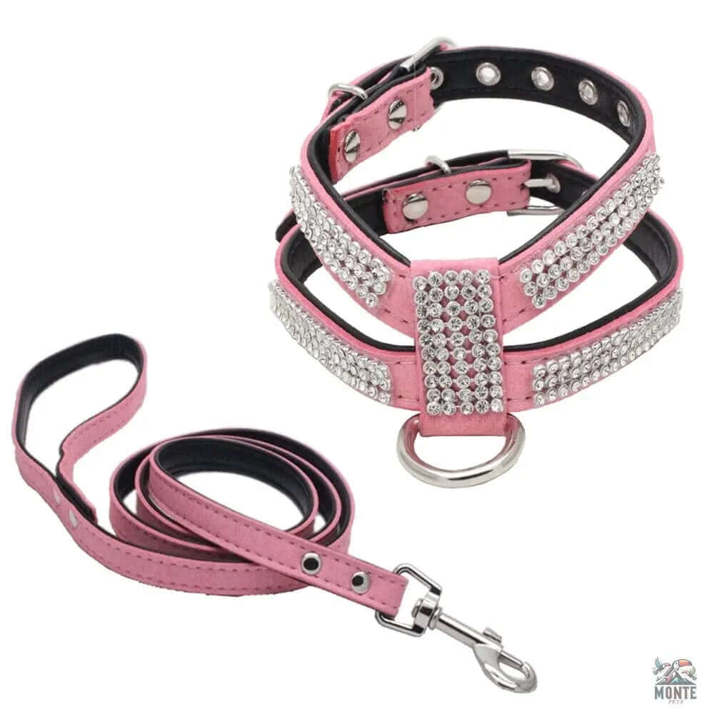 Glamour-Hundegeschirr – Hundesicherheit Schwarz Größe M | MONTE PETS