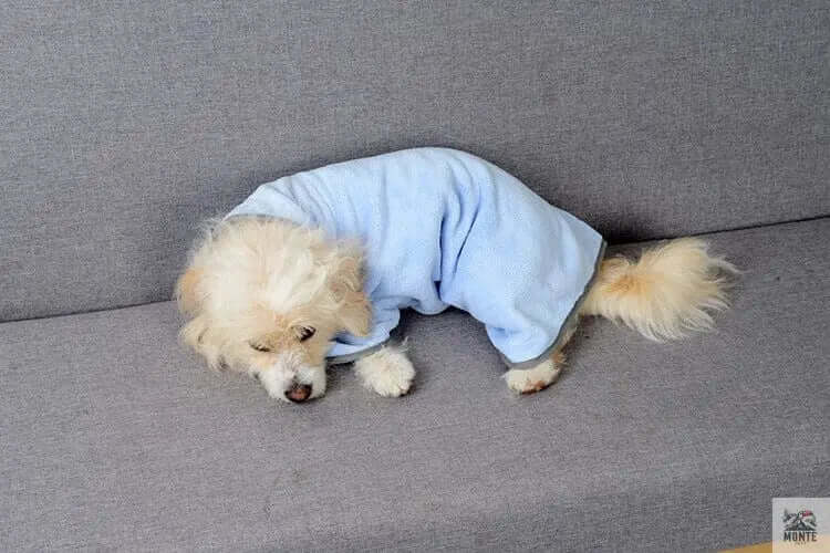 FellFix – Saugfähiges Haustier-Handtuch für Hunde und Katzen | MONTE PETS