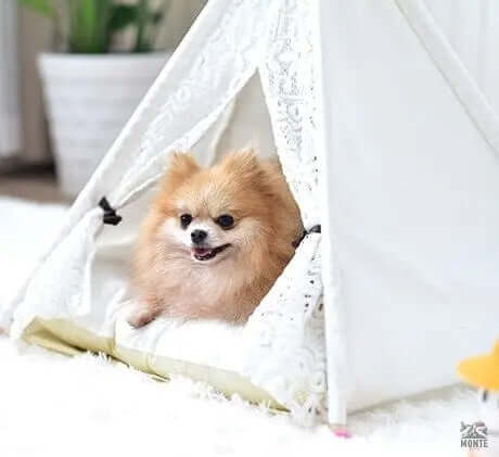 Haustier-Tipi - CozyTeepee - 50x50x60 cm