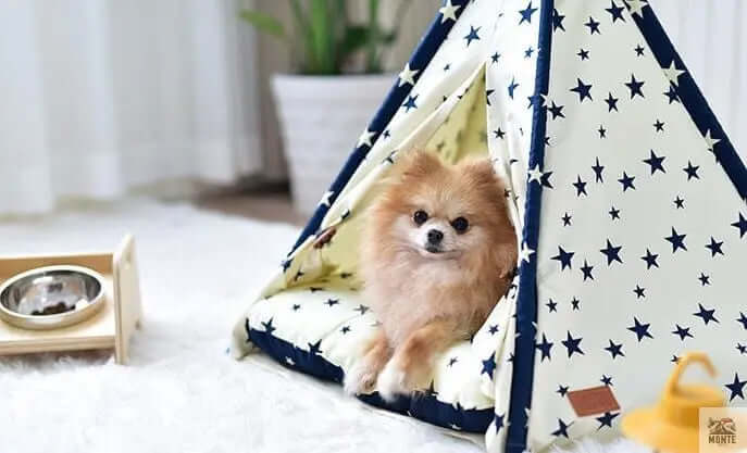 Haustier-Tipi - StarHome