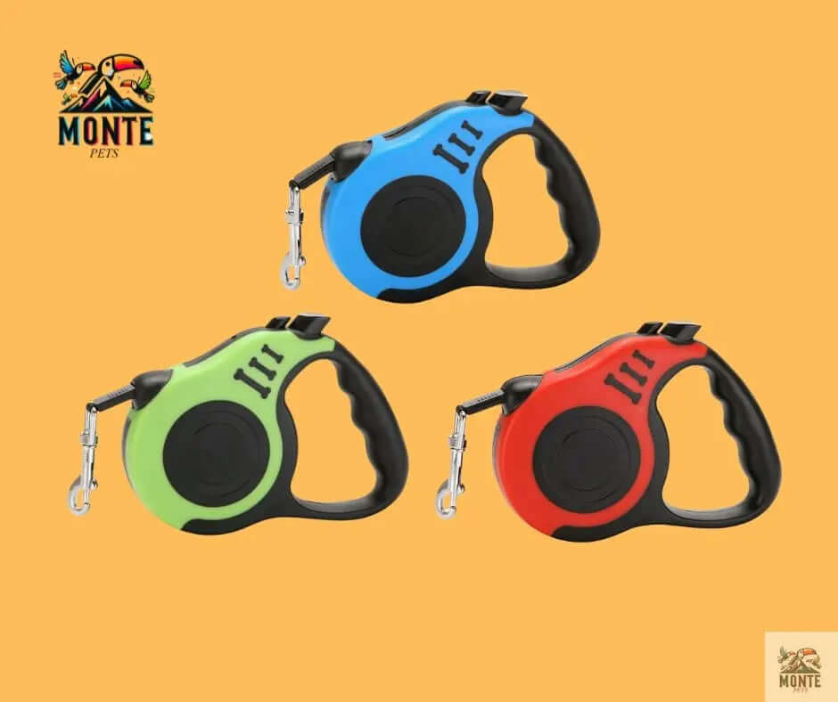 Hundeleine - Flexi-Freedom Hundesicherheit Blau 5m | MONTE PETS