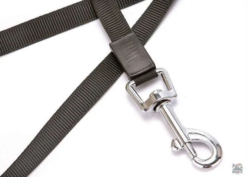 Hundeleine - Flexi-Freedom Hundesicherheit Blau 5m | MONTE PETS