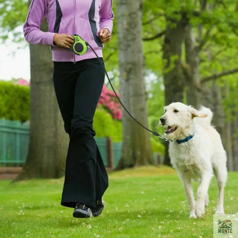 Hundeleine - Flexi-Freedom Hundesicherheit Blau 5m | MONTE PETS