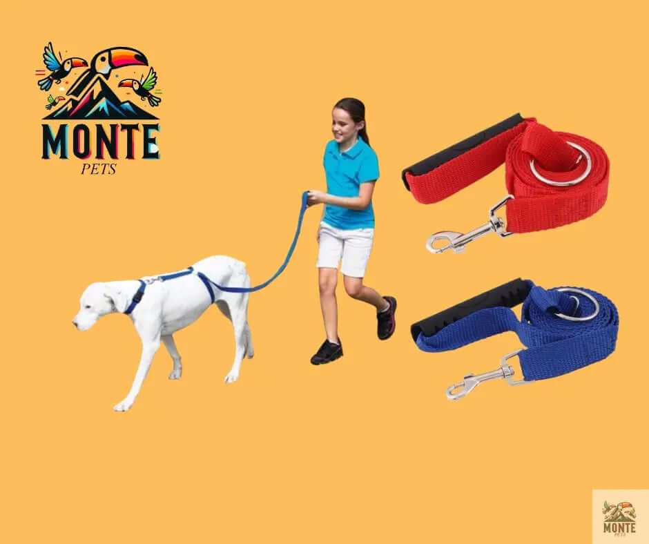 Instant Trainer – Hundeleine Rot 1,80 m | MONTE PETS