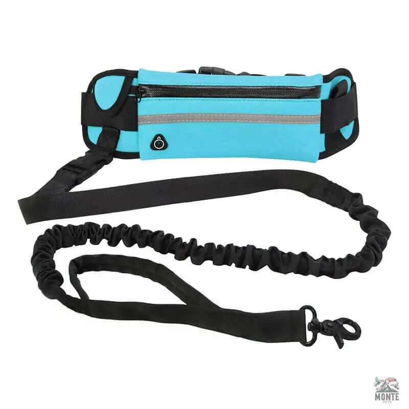 Hundeleine - Flexi-Freedom Hundesicherheit Blau 5m | MONTE PETS